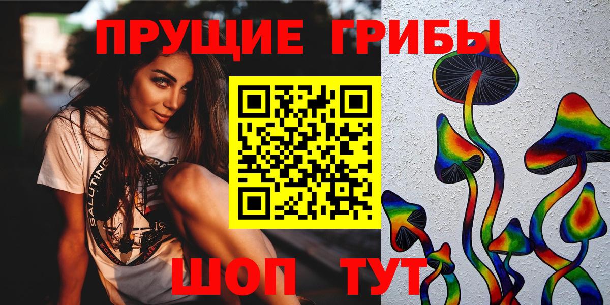 Галлюциногенные грибы мицелий Курчалой