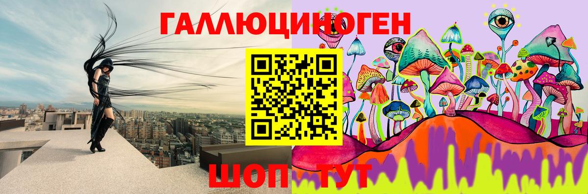 Курчалой  Галлюциногенные грибы мухоморы  Вход с VPN 